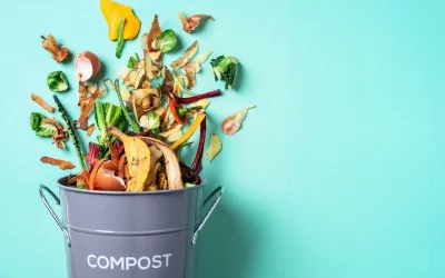 Composting 101 – Enrich Your Garden With Your Scraps